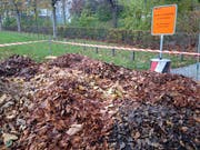 Laubhaufen mit Verbotstafel neben der Reithalle auf der Kreuzbleiche. (Bild: Reto Voneschen - 6. November 2019)