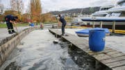Die Einsatzkräfte der Freiwilligen Feuerwehr in Zug beim Abschöpfen des Ölbinders im Zugersee. (Bild: Freiwillige Feuerwehr Zug, 2. November 2019)