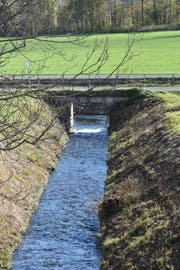 Diese Betonbrücke bei der Einmündung des Steinenbachs in den Rheintaler Binnenkanal muss wegen ihres schlechten Zustandes neu gebaut werden.