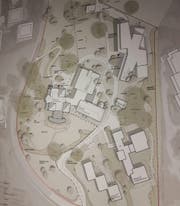 Das Siegerprojekt des Basler Architekturbüros Diener & Diener AG und den August + Margrith Künzel Landschaftsarchitekten: Die historische Villa (Haus A) soll mitsamt dem Anbau (Haus B) saniert werden und einen neuen Anbau (Haus C) erhalten. Der Erweiterungsbau (D) wird sternförmig auf dem hinteren Teil des Areals angeordnet. Das Angestelltenhaus (E) und das Ärztehaus (F) sollen längerfristig durch ein kleines Ensemble von zwei- und dreigeschossigen Häusern (Alters-/Wohnnutzung) ersetzt werden.
