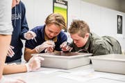 Gut in ihre Klasse integriert: Loris Sager (links) und Colin Saurer im Naturkundeunterricht. (Bild: Nadia Schärli, Neuenkirch 28. Oktober 2019)