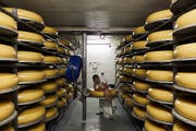 Der Käsekeller in Buttisholz ist proppenvoll. Dennoch wird in der Schweiz mehr Käse importiert als exportiert. (Bild: Jakob Ineichen, 5. November 2019)