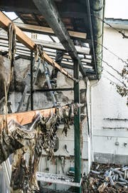 Bei der Wigoltinger Firma Provalora brannte ein Zwischenlager ab. Hauptsächlich das Dach und die Fassade sind betroffen. (Bild: Andrea Stalder)