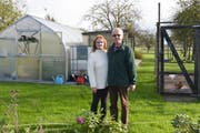 Erna und Reinhold Scherrer vor ihrem zwölf Jahre alten Gewächshaus und dem Hühnerhaus in ihrem Garten. (Bild: Mario Testa)