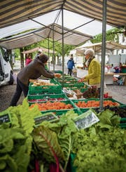 Ein Wochenmarkt – wie auf der Frauenfelder Promenade – ist auch auf dem Platz vor dem Aadorfer Gemeinde- und Kulturzentrum denkbar.Bild: Andrea Stalder (Juli 2017)