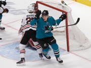 Timo Meier glänzte gegen die Chicago Blackhawks mit einem Tor und einem Assist (Bild: KEYSTONE/AP/JEFF CHIU)