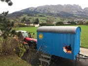 Der Gratis Bücherwagen erstrahlt in neuem Glanz. (Bild: PD)