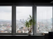 Luftaustausch in Zimmern senkt die Konzentration flüchtiger organischer Verbindungen wesentlich schneller als Pflanzen. (Bild: KEYSTONE/ENNIO LEANZA)
