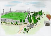 So hätte der neue Kunstrasenplatz im Döbeli aussehen sollen. (Bild: PD)