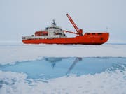 Die Akademik Treshnikov hat bereits bei der Antarktis-Umrundung gute Dienste geleistet. Auch bei der Grönland-Umrundung wird sie im Einsatz sein. (Bild: Schweizerisches Polarinstitut)