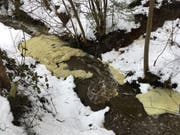 Der mit Gülle verschmutzte Schwarzenbach. (Bild: Zuger Polizei)