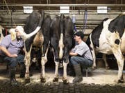 Bauern im Greyerzerland. Die Agrarpolitik 2022+ des Bundesrats stösst auf geteiltes Echo. (Archibvild) (Bild: Keystone/GAETAN BALLY)