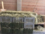 «Grünes Gold»: Wirklich gutes Heu ist derzeit nur schwer zu beschaffen. (Bild: Jessica Nigg)