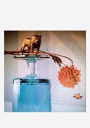 Leider nicht so mitreissend: Beirut: Gallipoli (4AD / Beggars / Musikvertrieb)