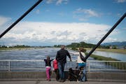 Als der Rhein letztmals Hochwasser führte: Schaulustige Mitte Juni 2016 in Diepoldsau. (Bild: Ralph Ribi)