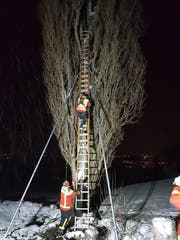 Die Feuerwehr Grabs während der Rettungsaktion. (Bilder: pd)