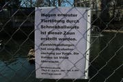 Mit diesem Hinweis machen die Verantwortlichen auf die Gefahr für die Enten durch Schneebälle aufmerksam. (Bild: Christoph Renn)