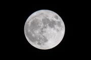 Der Supermond im November 2016: Wenn der Mond der Erde am nächsten ist, scheint er besonders hell. (Archivbild: Keystone)