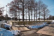 Auch mehr als zwei Wochen nach Ende des «Eiszaubers» stehen die Eiswege noch auf der Kreuzbleiche. (Bild: Christoph Renn - 19. Februar 2019)