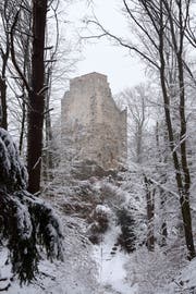 Nackter Stein im Winterwald: Die Ruine Neuburg.