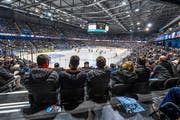 Der EV Zug kann sich über reges Publikumsinteresse freuen, die Stadionauslastung beträgt über 95 Prozent. Bild: Daniela Frutiger/Freshfocus (Zug, 10. März 2018)