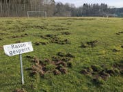 Der Rasen auf dem Fussballplatz in Berg hat am Mittwoch wie ein umgepflügter Acker ausgesehen. Die Hälfte des Rasens ist kaputt. (Bild: PD)