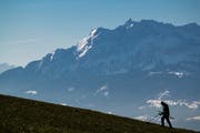 Romano Agola sucht mit Hilfe eines Metalldetektors archäologische fundstellen nach alten Münzen, Stempeln oder Schmuck ab. (Bilder: Philipp Schmidli, Ottenhusen, 19. Februar 2019)