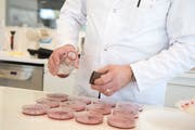 Im Labor werden die Proben untersucht. (Bild: Maria Schmid, Steinhausen, 21. Februar 2019)
