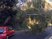 Nicht alle hatten so Glück wie dieser Autofahrer: Unwetter in Italien haben am Samstag mehrere Todesopfer gefordert. (Bild: KEYSTONE/AP/FABIO POLIMENI)