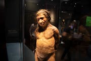 Neandertaler waren uns ähnlich. (Bild: Mike Kemp/In Pictures via Getty Images)