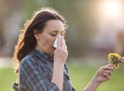 Die frühlingshaften Temperaturen lassen Zentralschweizer Pollenallergiker derzeit rege zu Nastüchern greifen. (Bild: Getty)