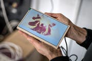 Ursula Palla lässt in ihrer Videoarbeit «apples 3» einen Apfel explodieren. (Bild: Michel Canonica)