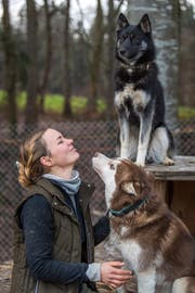 Josephin Habermann geniesst die Zeit mit den Hunden. Allerdings gehe die Doppebelastung Hundepflege und Beruf auch an die Substanz. (Bild: Michel Canonica)