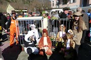 Ein ganzer Zoo ist unterwegs. (Bild. Franz Niederberger, Wolfenschiessen, 28. Februar 2019)