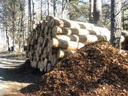 Derzeit kommt einiges an Holz zusammen. Es ist Hauptsaison der Holzernte. (Bild: Jesica Nigg)