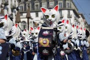 Die Chatzemusig Lozärn mit dem Motto Königinnen der Katzen. (Bild: Philipp Schmidli)