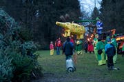 So sieht ein Eichefrässer aus. (Bild: Maria Schmid (28. Februar 2017))