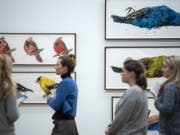 Die Serie «Angry Birds of America» von Ida Applebroog im Kunstmuseum Thun. (Bild: Keystone/PETER SCHNEIDER)