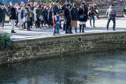 Touristen werfen Münzen in den Teich des Löwendenkmals. (Bild: Nadia Schärli, Luzern, 19. Januar 2019)