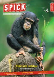 Spick Februar 2019