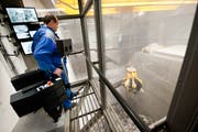 Verbrannt wird der Zuger Abfall in der Kehrichtverbrennungsanlage Renergia in Perlen im Kanton Luzern. (Bild: Boris Bürgisser (7. Januar 2015))