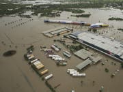 Land unter in Queensland: Das verheerende Hochwasser im Nordosten Australiens hat zu einem Massensterben von Rindern geführt. (Bild: KEYSTONE/EPA AAP/DAVE ACREE)