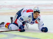 Einmal mehr gestrauchelt: ZSC-Lions-Stürmer Marco Miranda (Bild: KEYSTONE/PATRICK B. KRAEMER)