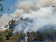 Rund 3000 Menschen in Neuseeland haben ihre Häuser und Wohnungen wegen eines Buschbrandes verlassen müssen. (Bild: KEYSTONE/AP Newshub)