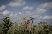 Ein Pumpenheber des venezolanischen Erdölkonzerns PDVSA, welcher im Visier der Justiz ist. (Bild: Bloomberg, El Tigre, 14. Oktober 2018)