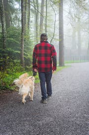 In Wil müssen Hunde im Wald oder am Waldrand nicht mehr an die Leine. (Symbolbild: Andrea Stalder)