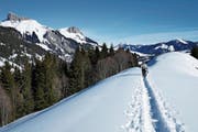 Der Aufstieg auf dem Kamm zwischen Emme und Leimbach, im Hintergrund der Sörenberg. (Bild: Monika Neidhart)