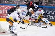 Kampf um den Puck zwischen Luganos Giovanni Morini (von links) und den Zugern Sven Senteler und Thomas Thiry. Bild: Pablo Gianinazzi/Keystone (Lugano, 1. März 2019)