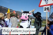 Der eidgenössische Kuhinspektor misst die Hörner der Kuh.