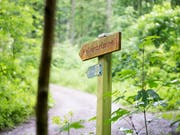 Tötungsdelikt im Wald von Fislisbach AG: Der zur Tatzeit minderjährige Schweizer wurde gemäss Jugendstrafrecht zur Maximalstrafe verurteilt. (Bild: KEYSTONE/URS FLUEELER)